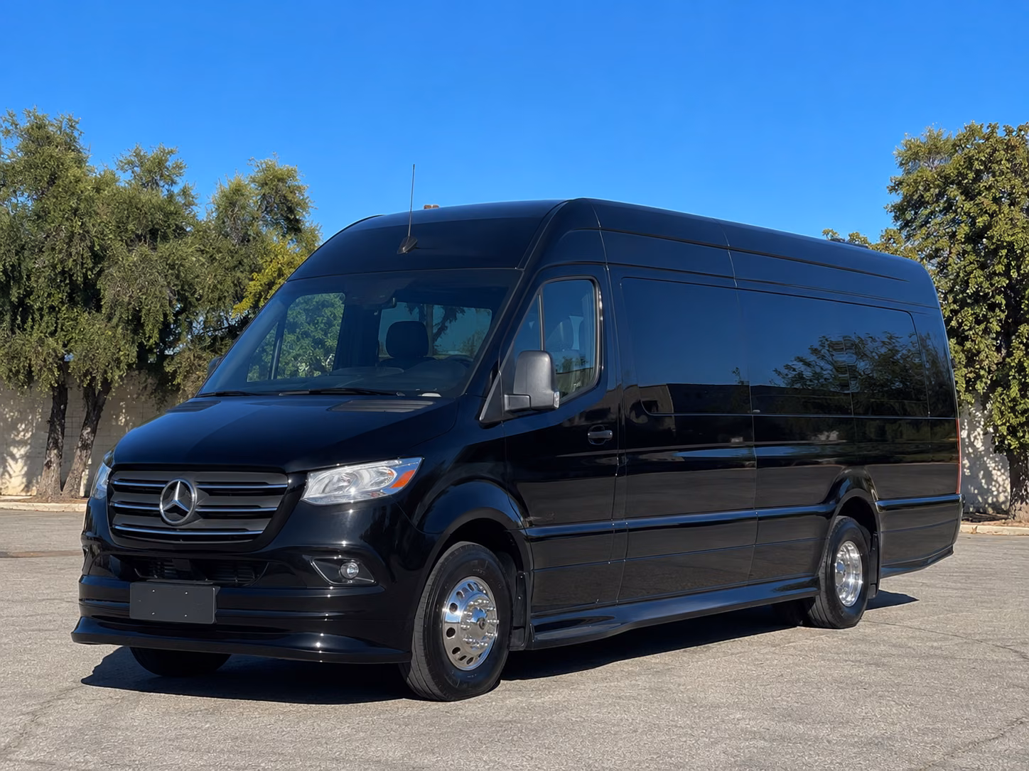 chula vista sprinter van with driver