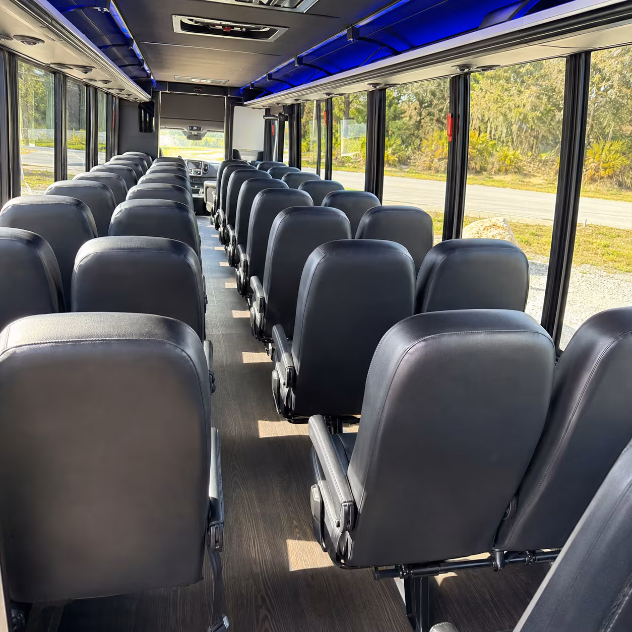 chula vista wine tour brewery transportation onboard seating